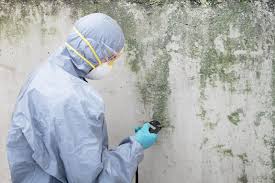 Mold Removal for HVAC Installations in Shoreacres, TX